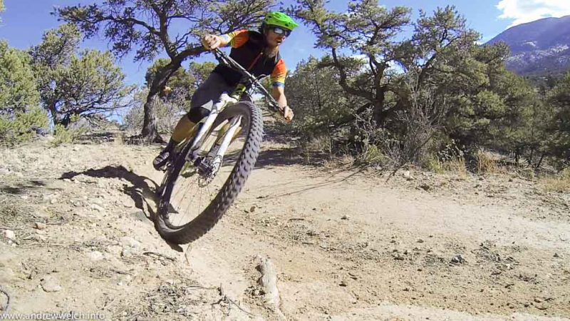 Flat bars mountain bike set up