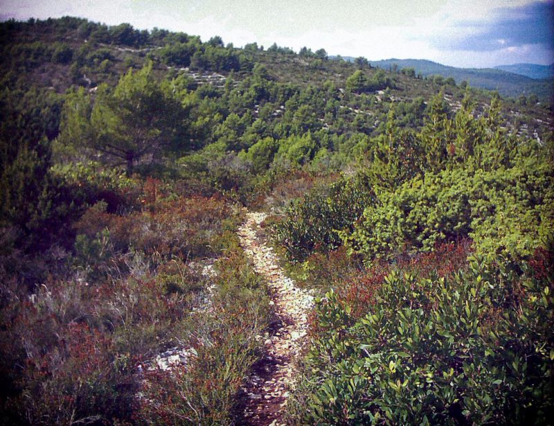Trails