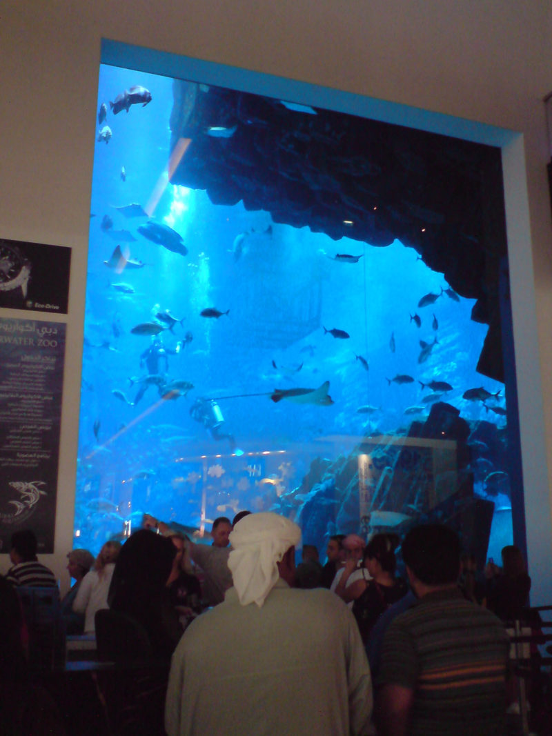 A large aquarium in Dubai Mall
