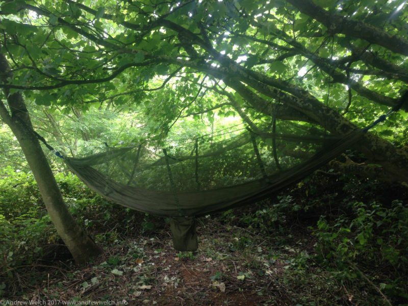hammock