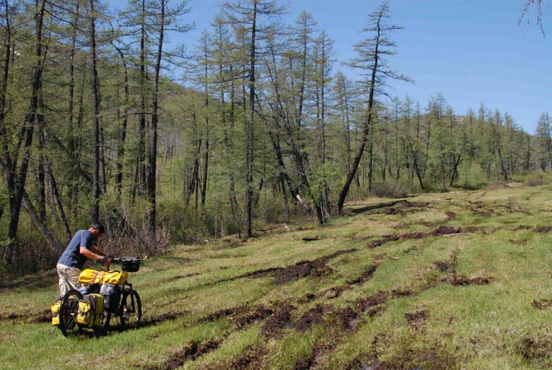 Energy sapping peatbog and swarms of mosquitoes
