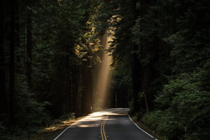 Rules of the road