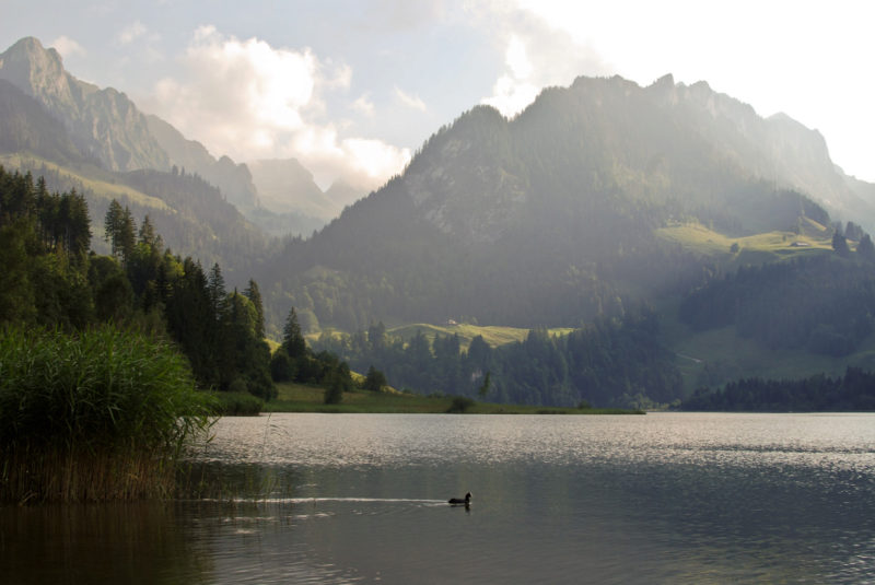 Switzerland