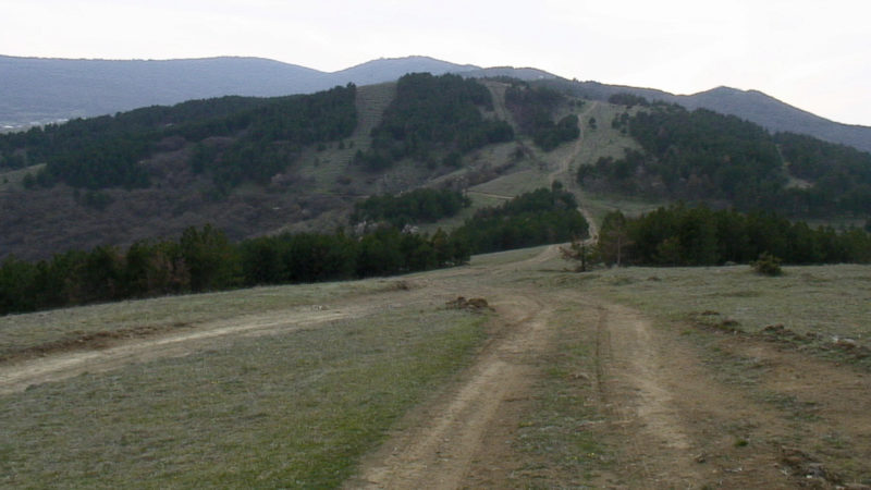 Dirt tracks