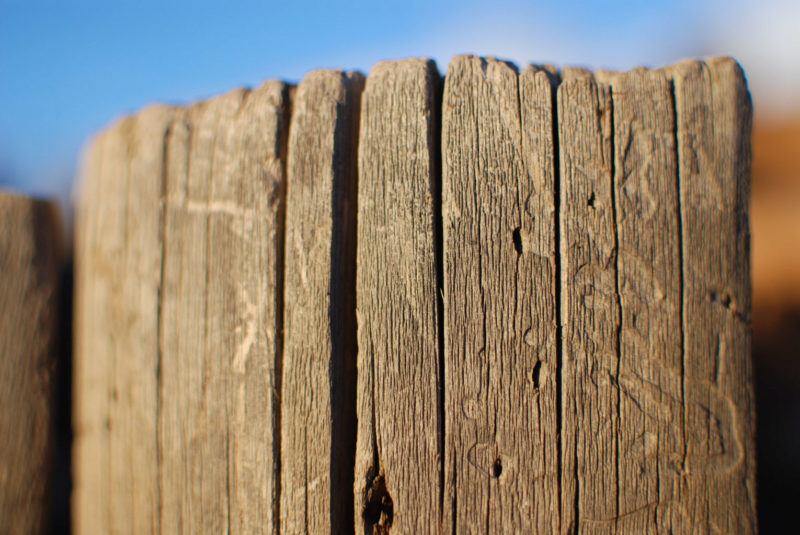 Wood